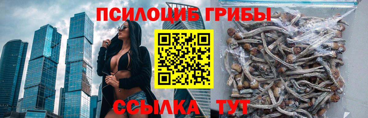 Моздок  Галлюциногенные грибы ЛСД  Вход с VPN 